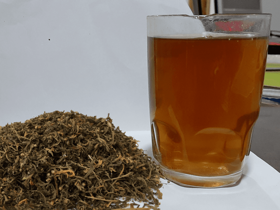 Tisane à l'artemisia annua – Image 5